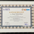 Resmi büyüt: certificate 5