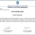 Resmi büyüt: certificate 2