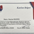 Resmi büyüt: certificate 17