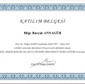 Resmi büyüt: certificate 2