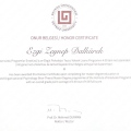 Resmi büyüt: certificate 3