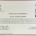 Resmi büyüt: certificate 25