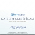 Resmi büyüt: certificate 1