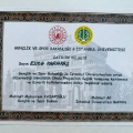 Resmi büyüt: certificate 4
