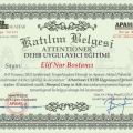 Resmi büyüt: certificate 4