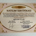 Resmi büyüt: certificate 17