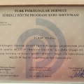 Resmi büyüt: certificate 1