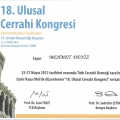 Resmi büyüt: certificate 4