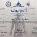 Resmi büyüt: certificate 18