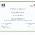 Resmi büyüt: certificate 20