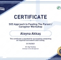 Resmi büyüt: certificate 2