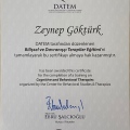 Resmi büyüt: certificate 9