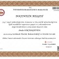 Resmi büyüt: certificate 7