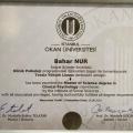 Resmi büyüt: certificate 9
