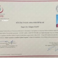 Resmi büyüt: certificate 5