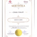 Resmi büyüt: certificate 2