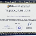 Resmi büyüt: certificate 17