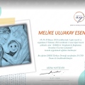 Resmi büyüt: certificate 24