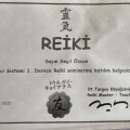 Resmi büyüt: certificate 32