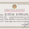 Resmi büyüt: certificate 1