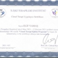 Resmi büyüt: certificate 3