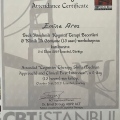 Resmi büyüt: certificate 11