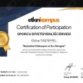 Resmi büyüt: certificate 2