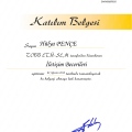 Resmi büyüt: certificate 5