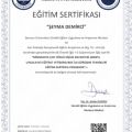 Resmi büyüt: certificate 3
