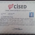 Resmi büyüt: certificate 7