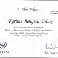 Resmi büyüt: certificate 4