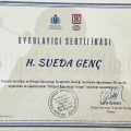 Resmi büyüt: certificate 16