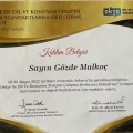Resmi büyüt: certificate 15
