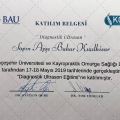 Resmi büyüt: certificate 5