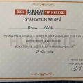 Resmi büyüt: certificate 16