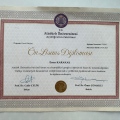 Resmi büyüt: certificate 10