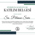 Resmi büyüt: certificate 2