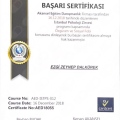Resmi büyüt: certificate 11