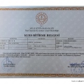 Resmi büyüt: certificate 9