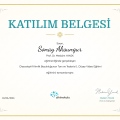 Resmi büyüt: certificate 12