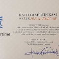 Resmi büyüt: certificate 4