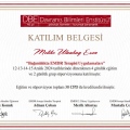 Resmi büyüt: certificate 29