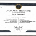 Resmi büyüt: certificate 10