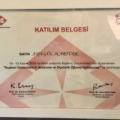 Resmi büyüt: certificate 22