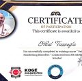 Resmi büyüt: certificate 3