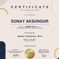 Resmi büyüt: certificate 3