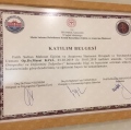 Resmi büyüt: certificate 13