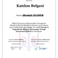 Resmi büyüt: certificate 5