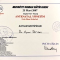 Resmi büyüt: certificate 16