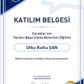 Resmi büyüt: certificate 16